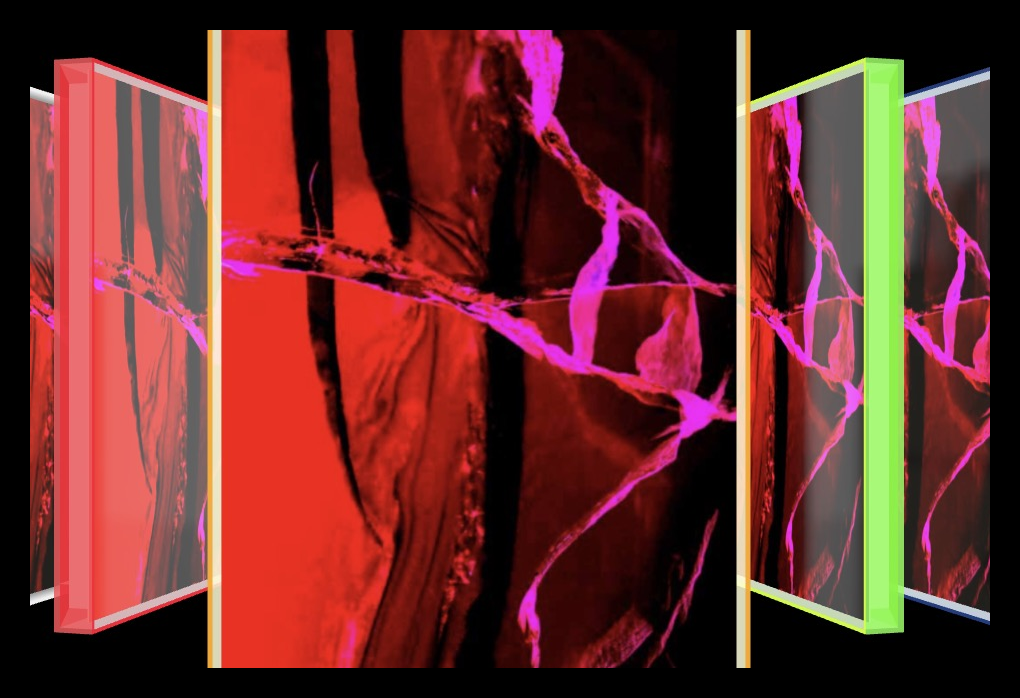 Cracklin' Rosie – Pop-Art Rahmen in allen 5 Farben (Weiß, Neon-Rot, Neon-Orange, Neon-Grün, Neon-Blau) | LionArt