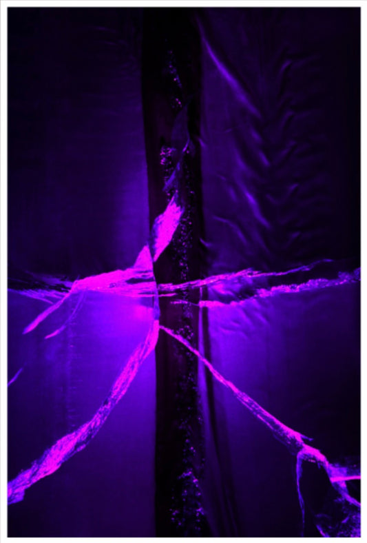 Dancing Queen Mini – Fine Art Print auf Hahnemühle Photo Rag Baryta in Violett und Magenta, Serie Ice Minis, LionArt