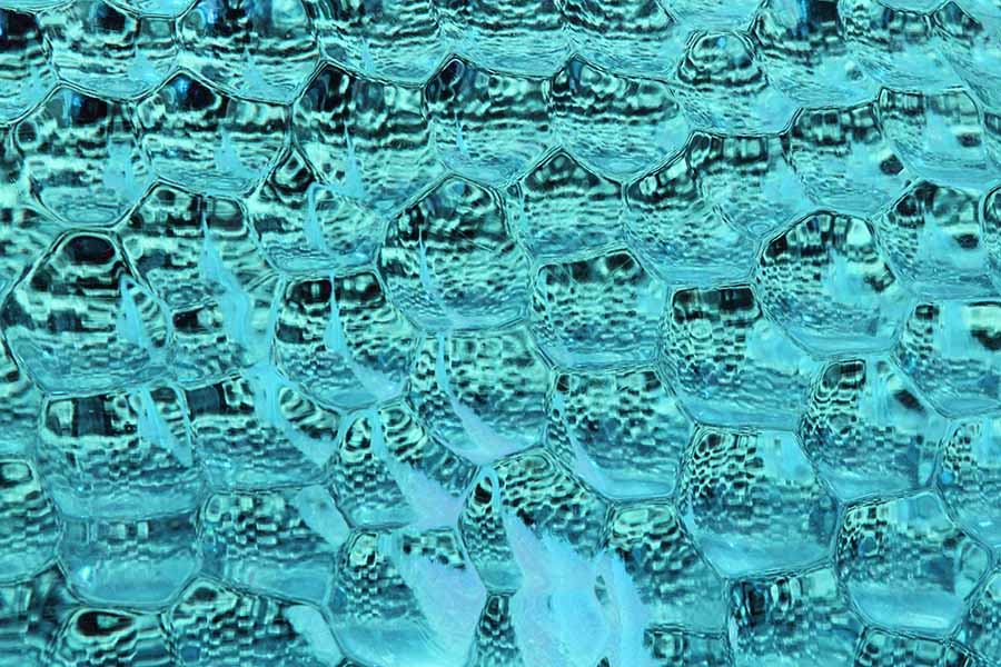 Bubble Butt – abstrakte Eis-Fotografie mit wabenartigen Strukturen in Türkis, Serie Ice Ice Baby, LionArt