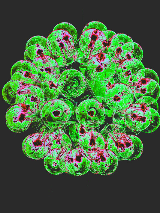 Bulb Flower Green – Lichtobjekt Fotokunst (Other Stories Edition)