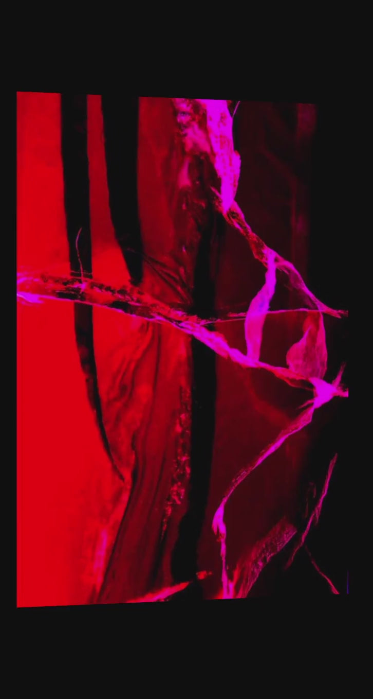 Cracklin' Rosie – 360°-Ansicht der Fine Art Edition, abstrakte Eis-Fotografie in leuchtendem Rot und Schwarz mit feurigen Magenta-Rissen, Serie Ice Ice Baby, LionArt
